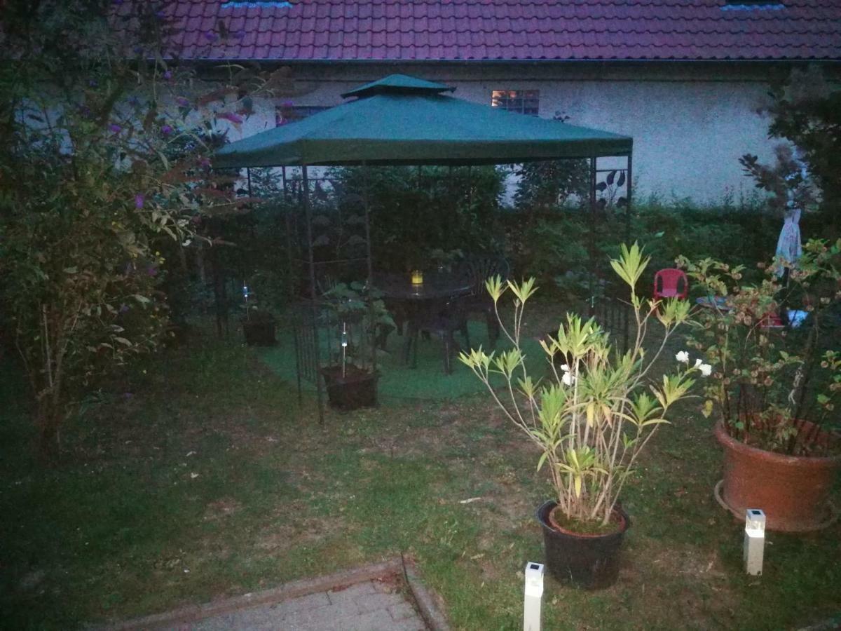 Ferienwohnung Am Finkenherd Dankerode  エクステリア 写真