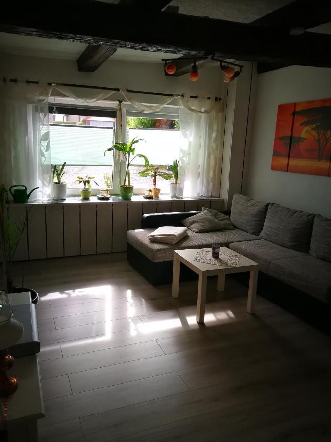 Ferienwohnung Am Finkenherd Dankerode  エクステリア 写真